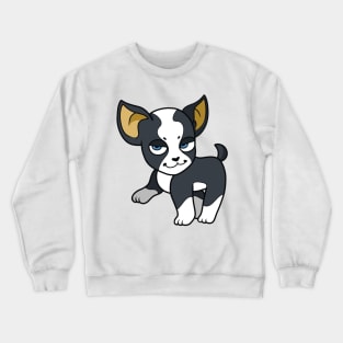 Mini Iggy Crewneck Sweatshirt